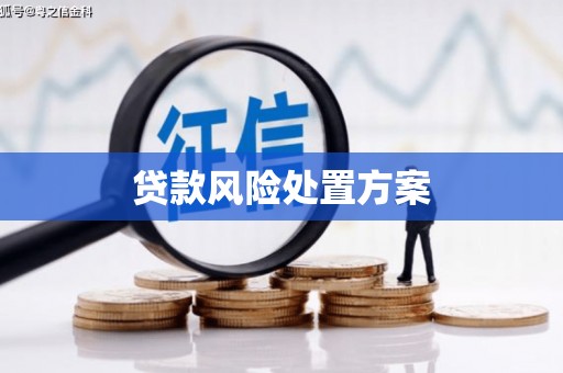 蒸湘贷款风险处置方案