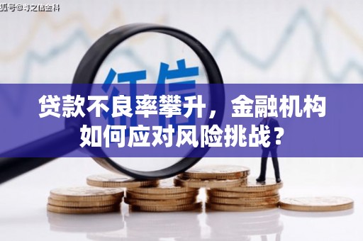 蒸湘贷款不良率攀升，金融机构如何应对风险挑战？