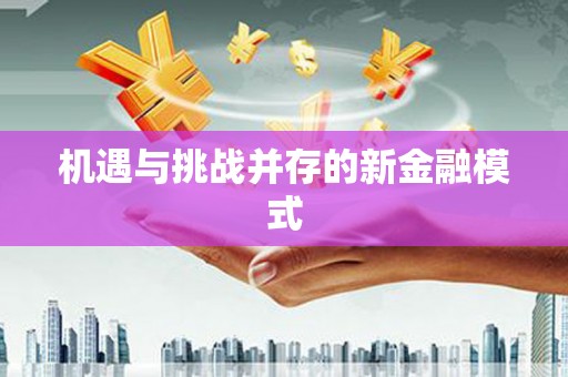 蒸湘机遇与挑战并存的新金融模式