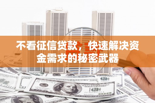 蒸湘不看征信贷款，快速解决资金需求的秘密武器