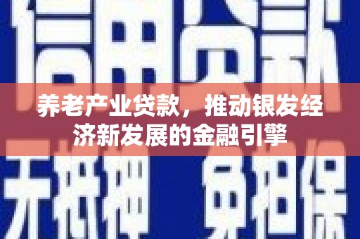 蒸湘养老产业贷款，推动银发经济新发展的金融引擎