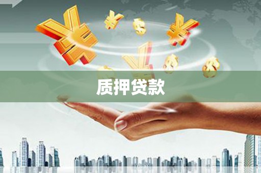 蒸湘质押贷款