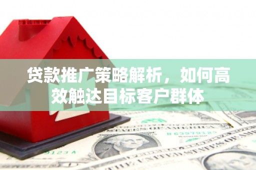 蒸湘贷款推广策略解析，如何高效触达目标客户群体