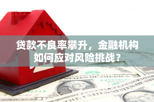 蒸湘贷款不良率攀升，金融机构如何应对风险挑战？