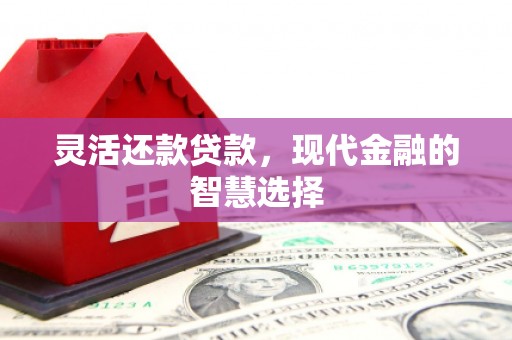 蒸湘灵活还款贷款，现代金融的智慧选择