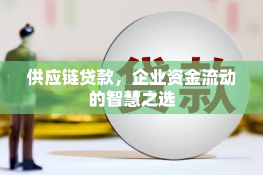 蒸湘供应链贷款，企业资金流动的智慧之选