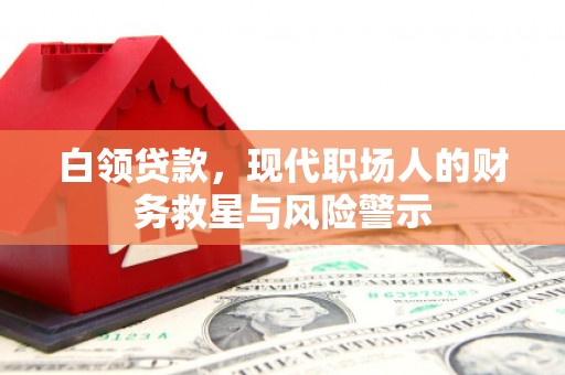 蒸湘白领贷款，现代职场人的财务救星与风险警示