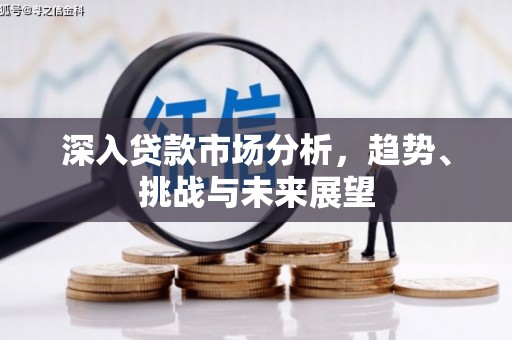 蒸湘深入贷款市场分析，趋势、挑战与未来展望