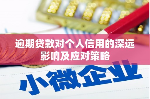 蒸湘逾期贷款对个人信用的深远影响及应对策略