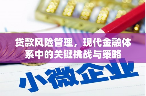 蒸湘贷款风险管理，现代金融体系中的关键挑战与策略