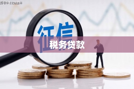 蒸湘税务贷款