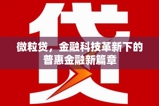 蒸湘微粒贷，金融科技革新下的普惠金融新篇章