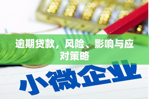 蒸湘逾期贷款，风险、影响与应对策略