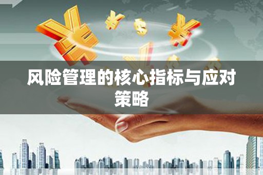 蒸湘风险管理的核心指标与应对策略