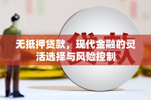 蒸湘无抵押贷款，现代金融的灵活选择与风险控制