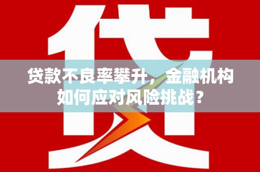 蒸湘贷款不良率攀升，金融机构如何应对风险挑战？