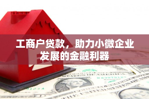 蒸湘工商户贷款，助力小微企业发展的金融利器
