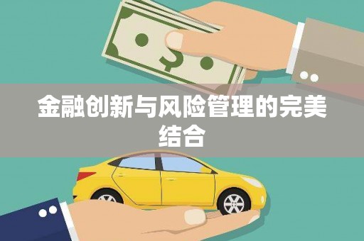 蒸湘金融创新与风险管理的完美结合