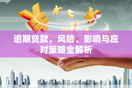 蒸湘逾期贷款，风险、影响与应对策略全解析