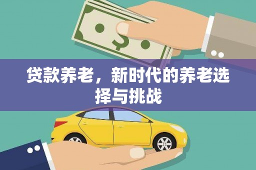 蒸湘贷款养老，新时代的养老选择与挑战