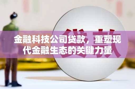 蒸湘金融科技公司贷款，重塑现代金融生态的关键力量