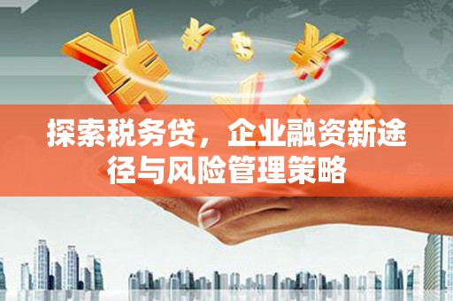 蒸湘探索税务贷，企业融资新途径与风险管理策略