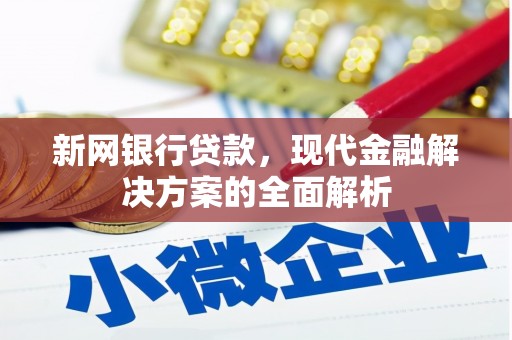 蒸湘新网银行贷款，现代金融解决方案的全面解析