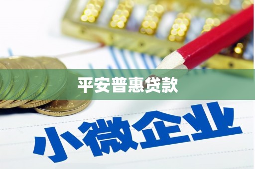 蒸湘平安普惠贷款