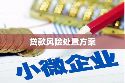 蒸湘贷款风险处置方案