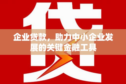 蒸湘企业贷款，助力中小企业发展的关键金融工具