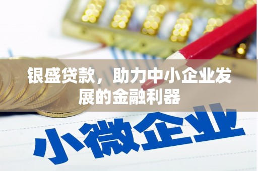 蒸湘银盛贷款，助力中小企业发展的金融利器