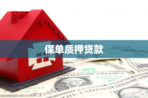 蒸湘保单质押贷款