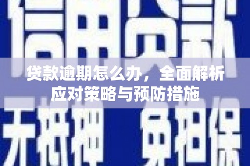 蒸湘贷款逾期怎么办，全面解析应对策略与预防措施