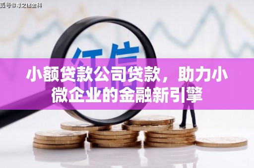 蒸湘小额贷款公司贷款，助力小微企业的金融新引擎
