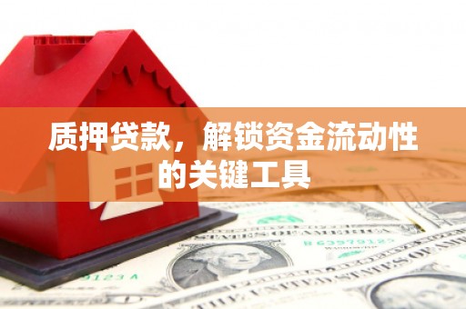 蒸湘质押贷款，解锁资金流动性的关键工具