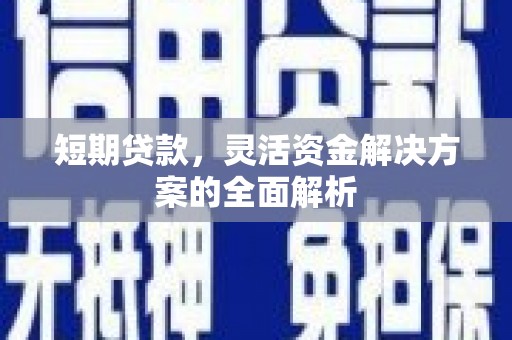 蒸湘短期贷款，灵活资金解决方案的全面解析