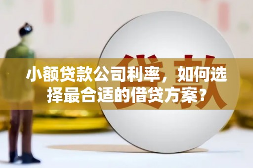 蒸湘小额贷款公司利率，如何选择最合适的借贷方案？