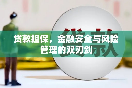 蒸湘贷款担保，金融安全与风险管理的双刃剑