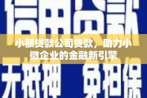 蒸湘小额贷款公司贷款，助力小微企业的金融新引擎