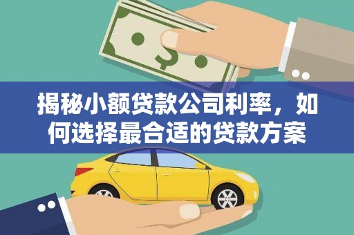 蒸湘揭秘小额贷款公司利率，如何选择最合适的贷款方案