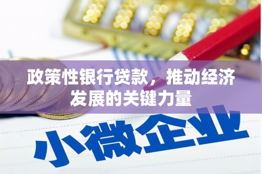 蒸湘政策性银行贷款，推动经济发展的关键力量