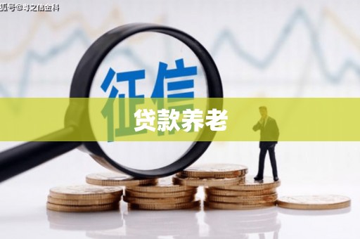 蒸湘贷款养老