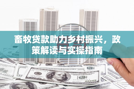 蒸湘畜牧贷款助力乡村振兴，政策解读与实操指南
