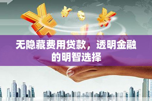 蒸湘无隐藏费用贷款，透明金融的明智选择