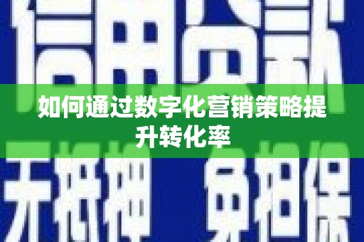 蒸湘如何通过数字化营销策略提升转化率