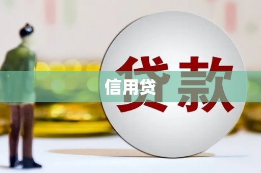 蒸湘信用贷