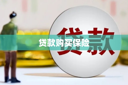 蒸湘贷款购买保险