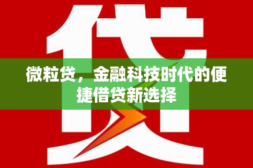蒸湘微粒贷，金融科技时代的便捷借贷新选择