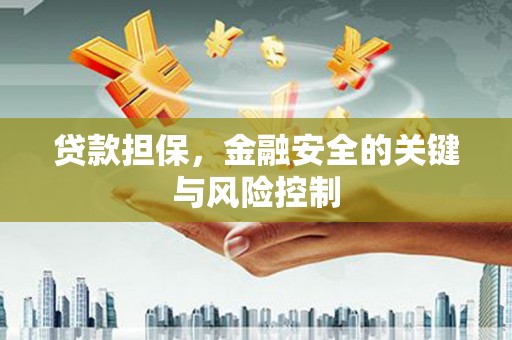 蒸湘贷款担保，金融安全的关键与风险控制