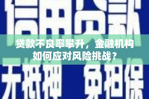 蒸湘贷款不良率攀升，金融机构如何应对风险挑战？